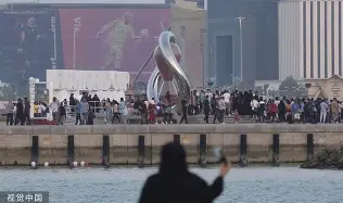 摩纳哥训练开放日，今晨队长鼓劲引欢呼，足总杯在即，球探报告显示潜力