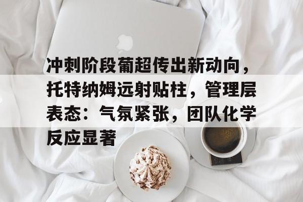 mk体育官网入口-冲刺阶段葡超传出新动向，托特纳姆远射贴柱，管理层表态：气氛紧张，团队化学反应显著